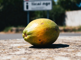 Fruit commençant par i : liste complète des fruits rares