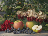 Fruit en e : liste complète des fruits commençant par e