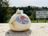 Mozzarella périmée : Peut-on manger sans risque ni danger