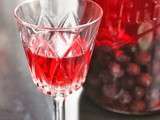 Gin aux prunelles (Sloe Gin) comme en Angleterre