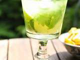 Mojito d'Un Peu Gay dans les Coings et les 250 ans de la distillerie Saint-James