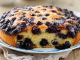Gâteau aux myrtilles