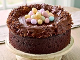 Gâteau de Pâques au chocolat façon nid