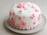 Gâteau en pâte à sucre (base Molly cake)