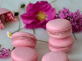 Macarons à la fraise de Christophe Felder