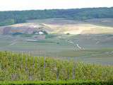 Champagne Viellard-Millot à Ambonnay