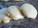 Biscuits Ingenting Danois (le biscuit « rien »)