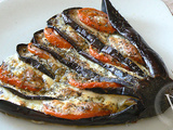 Eventail d’aubergine, tomate et mozza