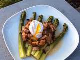 Asperges des landes de Patou