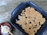 Dessert de l'été...Cobbler aux myrtilles ! jusque là pas de quoi nous surprendre ! mais après j'ajoute petite crème au citron ? ah...ah