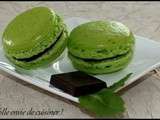 Macarons menthe-chocolat