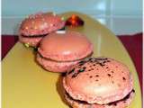 Recette - Gourmandises de Noël* - Macarons gourmands