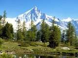 Brisolée Valaisanne et Châtaignes Vaudoises