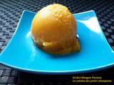 Sorbet mangue / passion