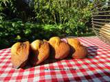 Madeleines ardéchoises