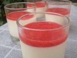 Panna Cotta et son coulis de fruits rouges