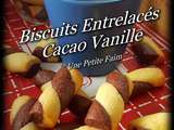 Biscuits Entrelacés Cacao Vanille