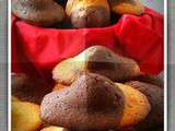 Madeleines Chocolat Vanille