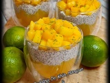 Pudding De Chia, Mangue & Lait De Coco