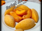 Sorbet Abricots