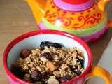 Granola/ muesli noisettes, raisins et noix du Brésil (à l'Actifry)