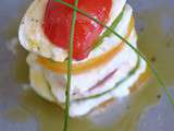 Tomates mozzarella {multicolore}