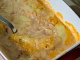 Quenelles au poisson et à la béchamel tomate - Une ribambelle d'histoires