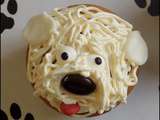 Cupcakes bichon