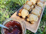 Oursons fraises