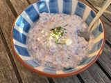 Tartinade de radis au fromage frais