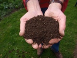 Pourquoi composter chez soi ? Solutions simples pour agir vert