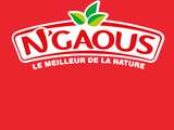 Nouveau partenaire, n'gaous, enfin disponible en France