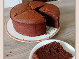 Gâteau choco-amandes au lait de coco