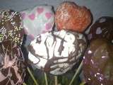 Folie des cake pops