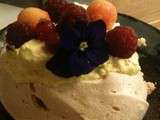 Pavlova individuelles