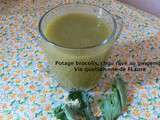 Potage brocolis, chou rave au gingembre