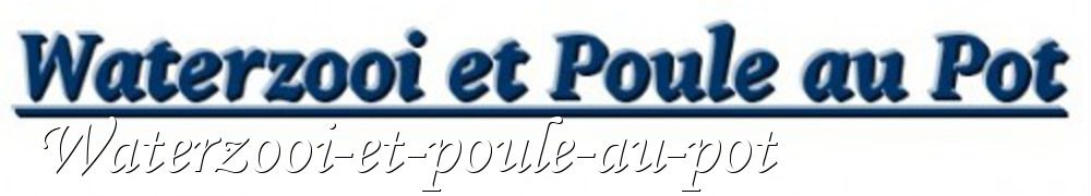 Recettes de Waterzooi-et-poule-au-pot