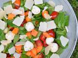 Salade à l'abricot, tomate, mozzarella et parmesan