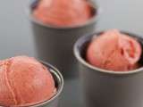 Sorbet plein fruit