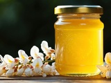 Miel d’acacia : comparatif et conseils pour choisir un miel de qualité